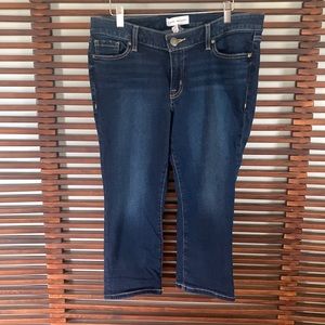 Lane Bryant jeans